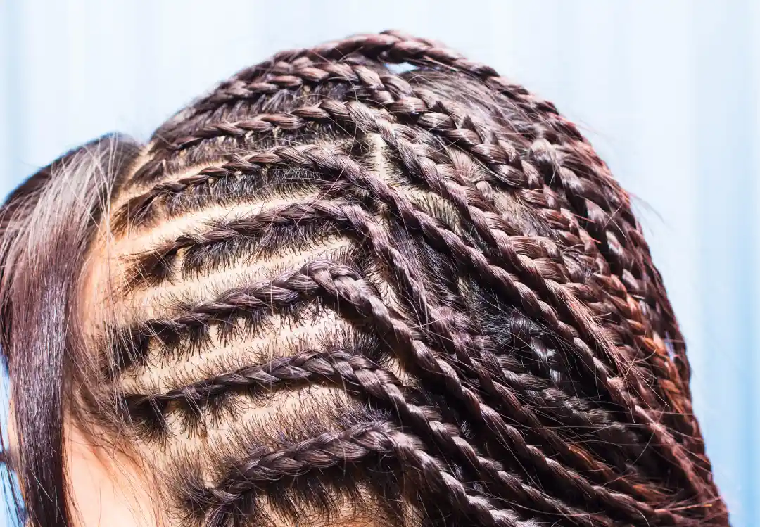 Professional Box Braids New York, NY